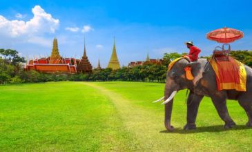 Pattaya & Bangkok & Phuket Turu - 8 Gece