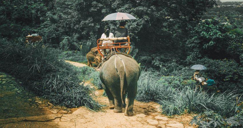Phuket & Pattaya & Bangkok Turu - 7 Gece (Direkt Uçuş)