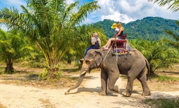 Phuket & Bangkok Turu - 6 Gece (Ekstra Turlar Dahil) HKT-BKK