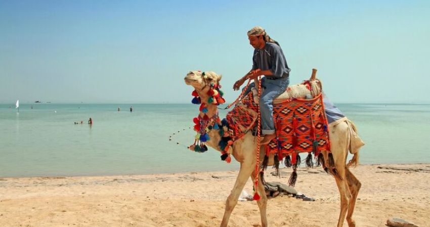 Sharm El Sheikh & Kahire Turu - 4 Gece (17 Kasım)