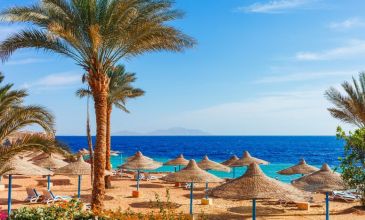 Sharm El Sheikh & Kahire Turu - 4 Gece (8 Aralık)